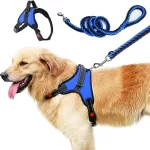 accesorio perro