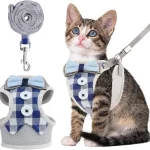 accesorios para gato