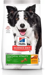 hills perro seco 6kg