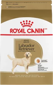 royal canin labrador retriever